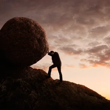 rs=w_365,h_365,cg_true (1)