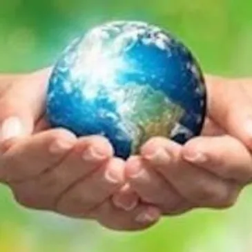 rs=w_365,h_365,cg_true (9)