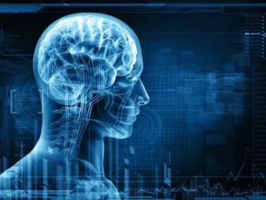 rs=w_388,h_292,cg_true (7)